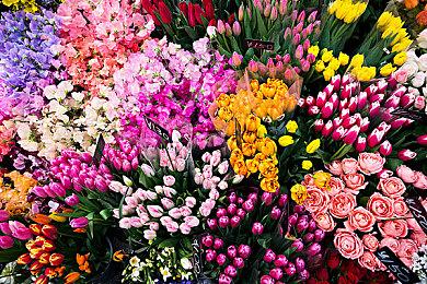 极限飞驰 热血竞速：在《极限竞速：地平线5》中体验拉力赛魅力