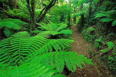 解谜游戏《Dr. Fetus' Mean Meat Machine》Steam页面上线 年内上线