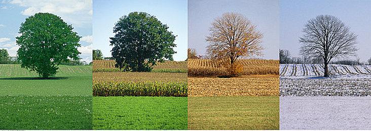 PCE经典RPG游戏《宇宙幻想》移植Switch